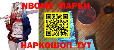 индика Гатчина