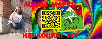 индика Гатчина