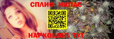 ECSTASY Гай