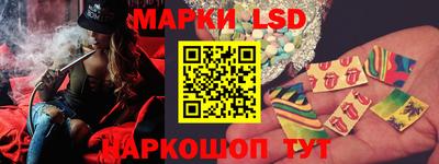 индика Гатчина