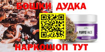 ECSTASY Гай