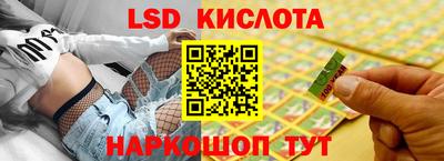 индика Гатчина