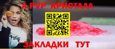 индика Гатчина