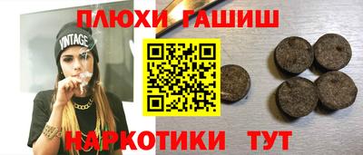 индика Гатчина