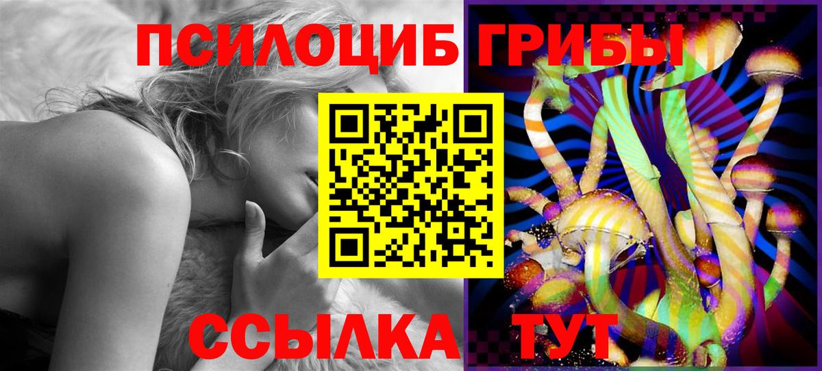 Галлюциногенные грибы Psilocybine cubensis Нальчик